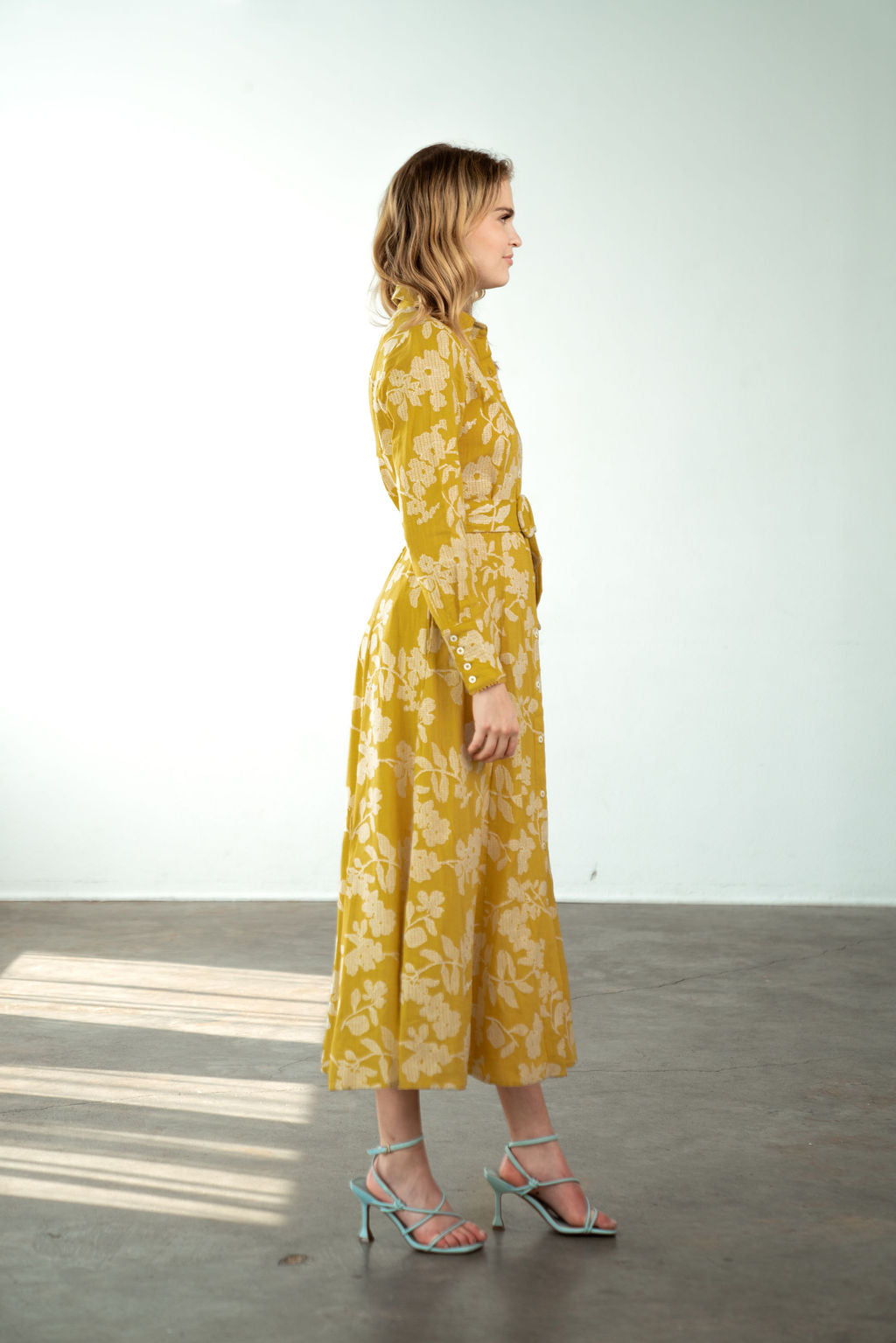 Princess Seam Long Sleeve Dress